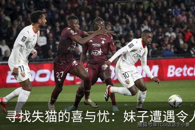 寻找失猫的喜与忧：妹子遭遇令人失望的“谢礼